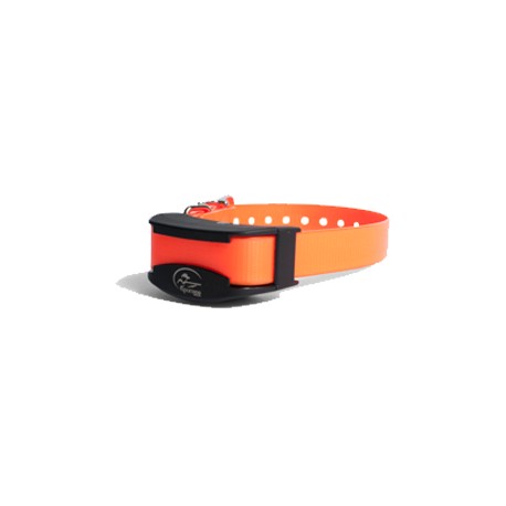 SportDOG - Collare aggiuntivo SportTrainer 875